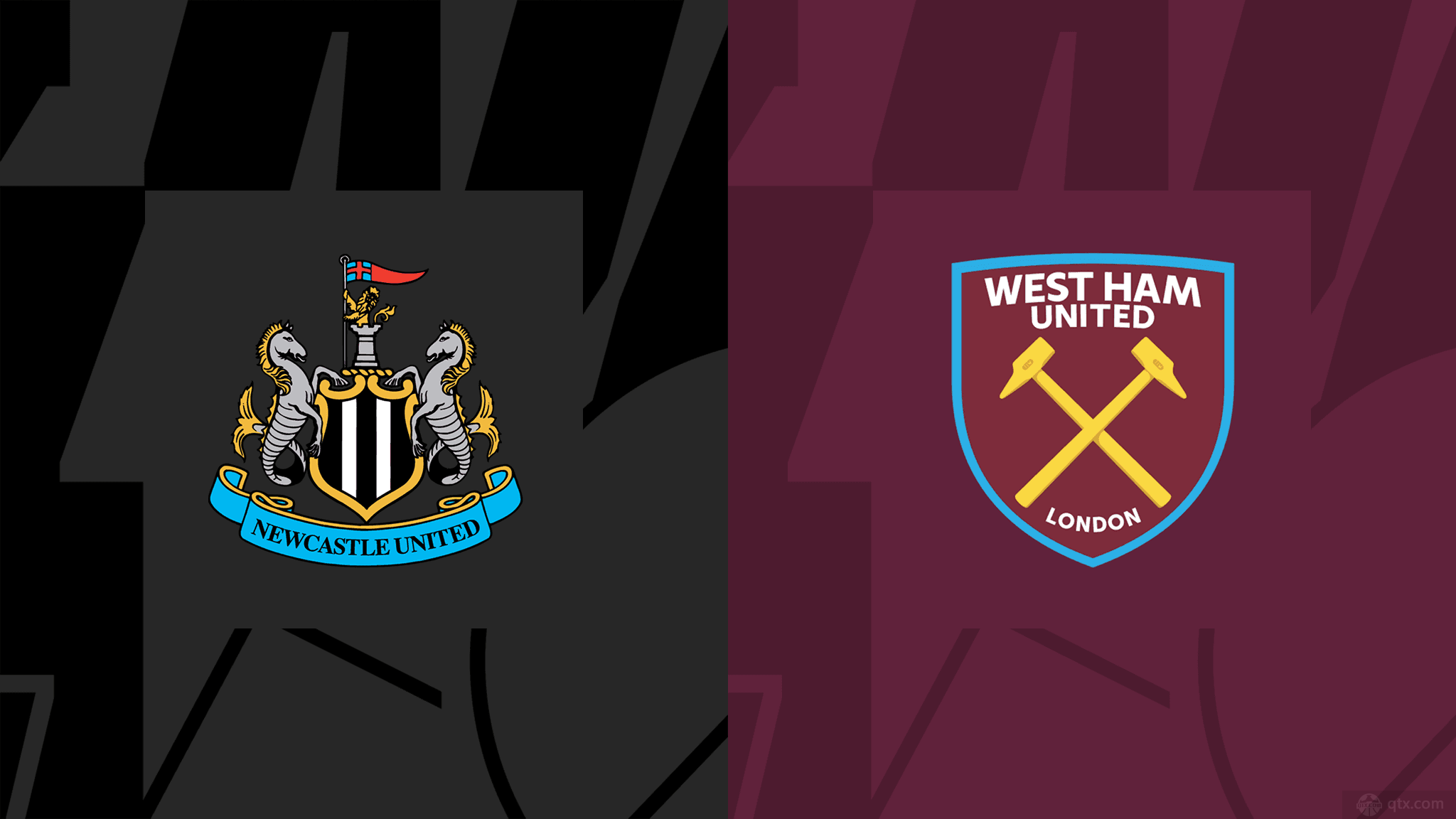 注的亮点呢 注的亮点呢